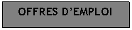 Zone de Texte: OFFRES DEMPLOI