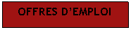 Zone de Texte: OFFRES DEMPLOI